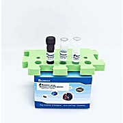 Monkeypox Virus Real Time PCR Detection Kit