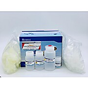 Cell/Tissue RNA Extraction Kit Plus
