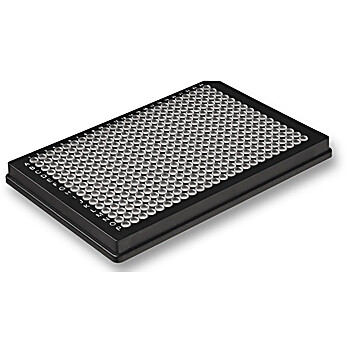 A-Frame® 384 Well PCR Plate