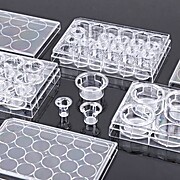 Cell Culture Inserts