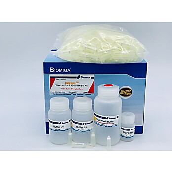 Cell Tissue RNA Mini Kit