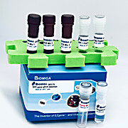 Respiratory Panel Real Time PCR Detection