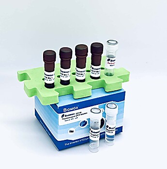 Pneumonia Panel Real Time PCR Detection