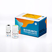 sbeadex SAB (sequencing application beads)