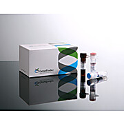 GeneFinder™ HLA-B*57:01 RealAmp kit