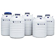 Vapor Pphase LN2 Containers,Liquid Nitrogen Storage Containers Supplier