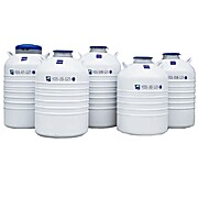 Liquid Nitrogen Storage Dewar