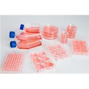 Nunclon™ Sphera™ Flasks