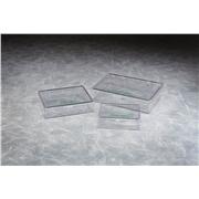 Western Blot Trays