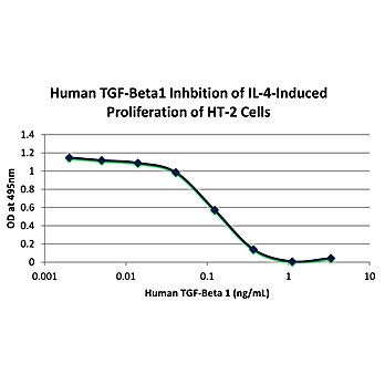 Human Transforming Growth Factor beta 1 Recombinant Protein