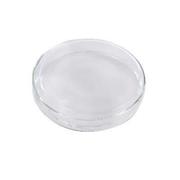 Borosilicate Glass Petri Dish