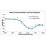 Mouse Leukemia Inhibitory Factor Recombinant Protein