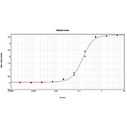 Anti-CARBONIC ANHYDRASE I (GOAT) Antibody Biotin Conjugated