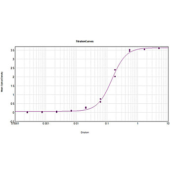 Anti-CARBONIC ANHYDRASE I (GOAT) Antibody Biotin Conjugated