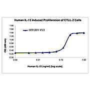 Human Interleukin-15 Recombinant Protein