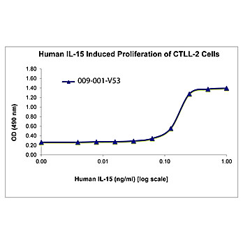 Human Interleukin-15 Recombinant Protein
