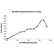 Rat Glial Derived Neurotrophic Factor Recombinant Protein