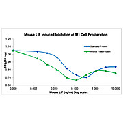 Mouse Leukemia Inhibitory Factor Recombinant Protein (Animal Free)