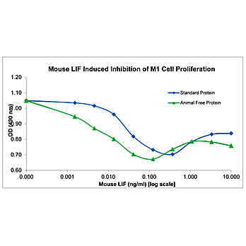 Mouse Leukemia Inhibitory Factor Recombinant Protein (Animal Free)