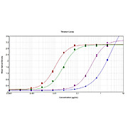 Anti-SARS-CoV-2 Whole Spike Protein (RABBIT) Antibody