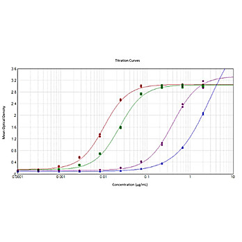 Anti-SARS-CoV-2 Whole Spike Protein (RABBIT) Antibody