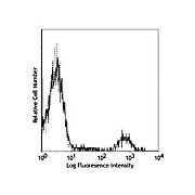 Anti-CD20 (MOUSE)  Conjugated Monoclonal Antibody