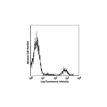 Anti-CD20 (MOUSE)  Conjugated Monoclonal Antibody