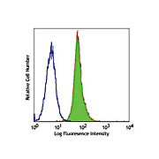 Anti-CD80 (MOUSE)  Conjugated Monoclonal Antibody