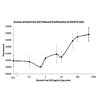 Human Epidermal Growth Factor Recombinant Protein (Animal Free)