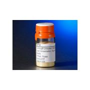 Untreated Microcarriers