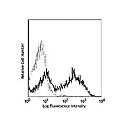 Anti-CD154 (CD40L) (MOUSE)  Conjugated Monoclonal Antibody