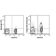 Anti-CD25 (MOUSE)  Conjugated Monoclonal Antibody