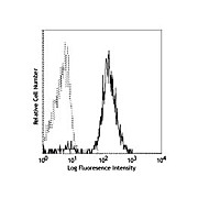 Anti-CD86 (MOUSE)  Conjugated Monoclonal Antibody