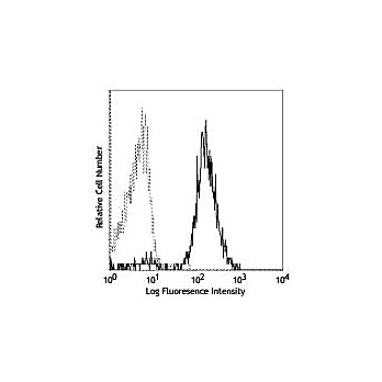 Anti-CD86 (MOUSE)  Conjugated Monoclonal Antibody