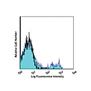 Anti-CD40 (MOUSE)  Conjugated Monoclonal Antibody