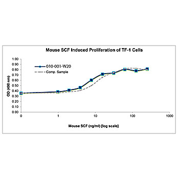 Mouse Stem Cell Factor Recombinant Protein