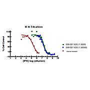 Human Interferon-gamma Recombinant Protein