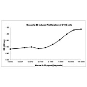 Mouse Interleukin-33 Recombinant Protein (Animal Free)