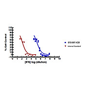 Mouse Interferon gamma Recombinant Protein