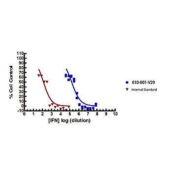 Mouse Interferon gamma Recombinant Protein