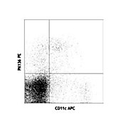 Anti-NK1.1 (MOUSE)  Conjugated Monoclonal Antibody