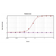 Anti-RAT SERUM (RABBIT) Antibody Peroxidase Conjugated