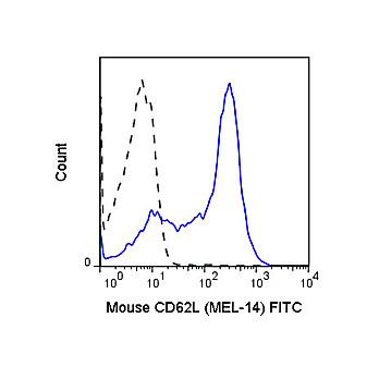 Anti-CD62L (RAT)  Conjugated Monoclonal Antibody