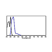 Anti-GST (RABBIT) Antibody DyLight™