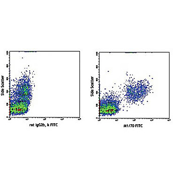 Anti-CD11b (RAT) Fluorescein Conjugated Monoclonal Antibody