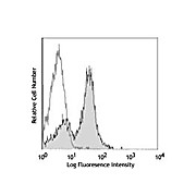 Anti-CD16/32 (RAT)  Conjugated Monoclonal Antibody