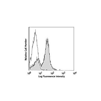 Anti-CD16/32 (RAT)  Conjugated Monoclonal Antibody