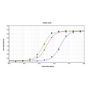 Anti-SARS-CoV-2 Nucleocapsid (N) Protein (RABBIT) Antibody