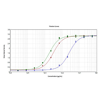 Anti-SARS-CoV-2 Nucleocapsid (N) Protein (RABBIT) Antibody
