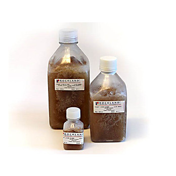 MOUSE SERUM (sterile) (Heat Inactivated)